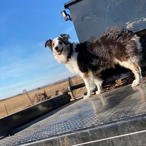 Meet your Posher, Haley